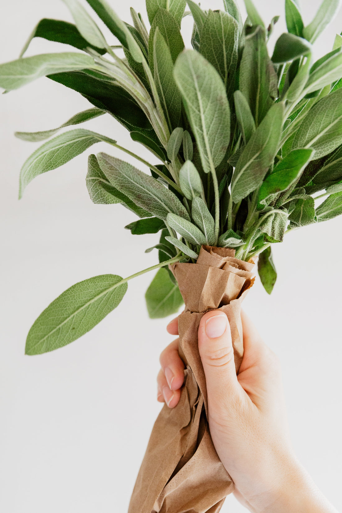 How to Start a Simple Garden & Embrace Homestead Living — No Matter Where You Are