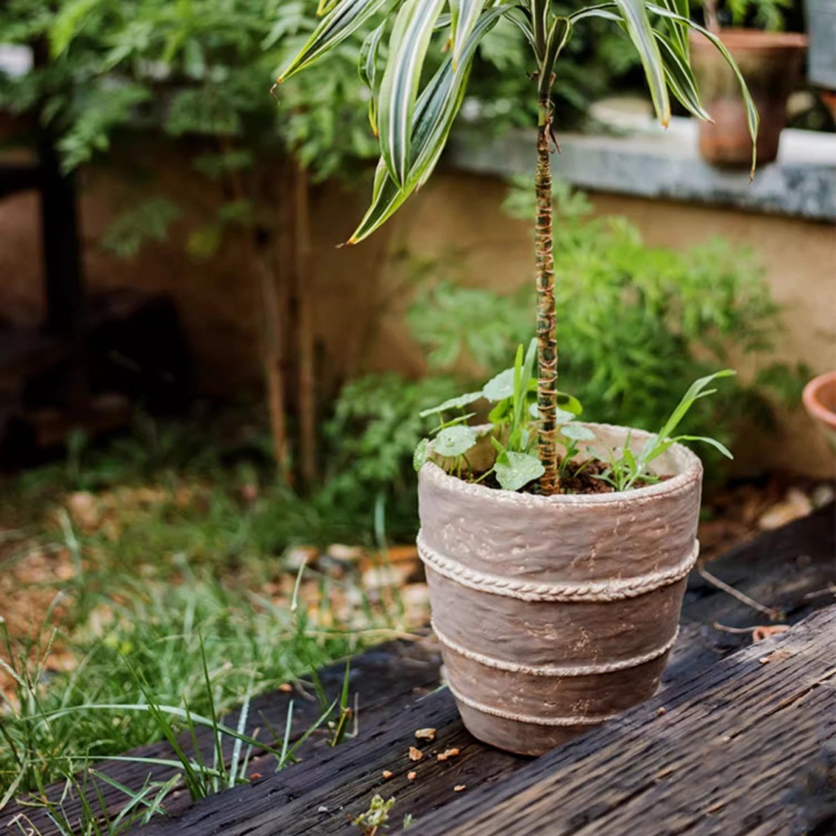 Handcrafted Textured Terracotta Plante