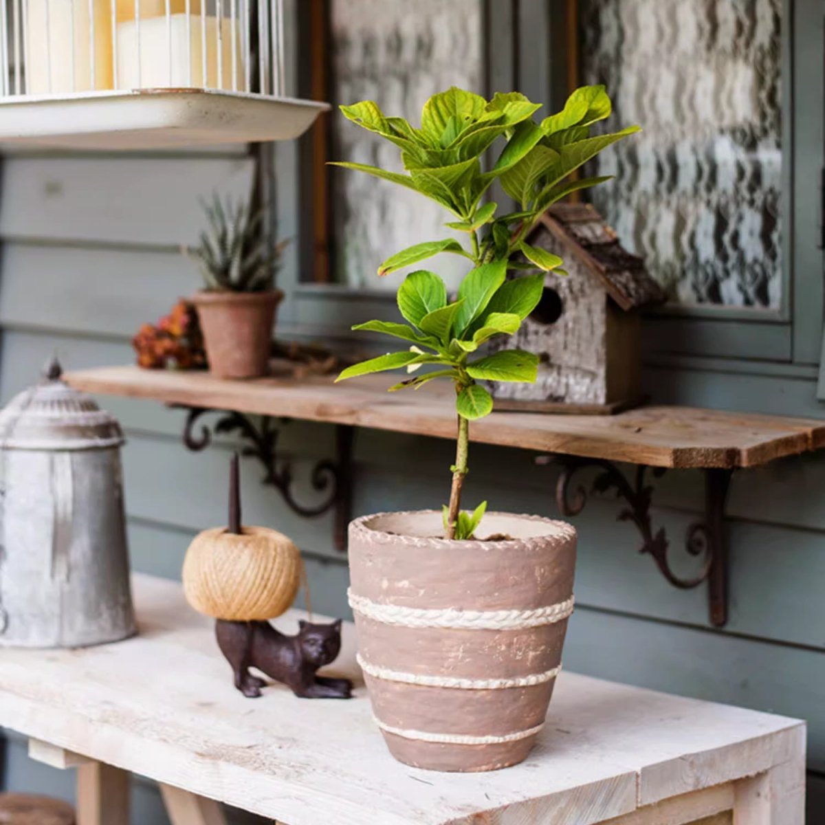 Handcrafted Textured Terracotta Plante