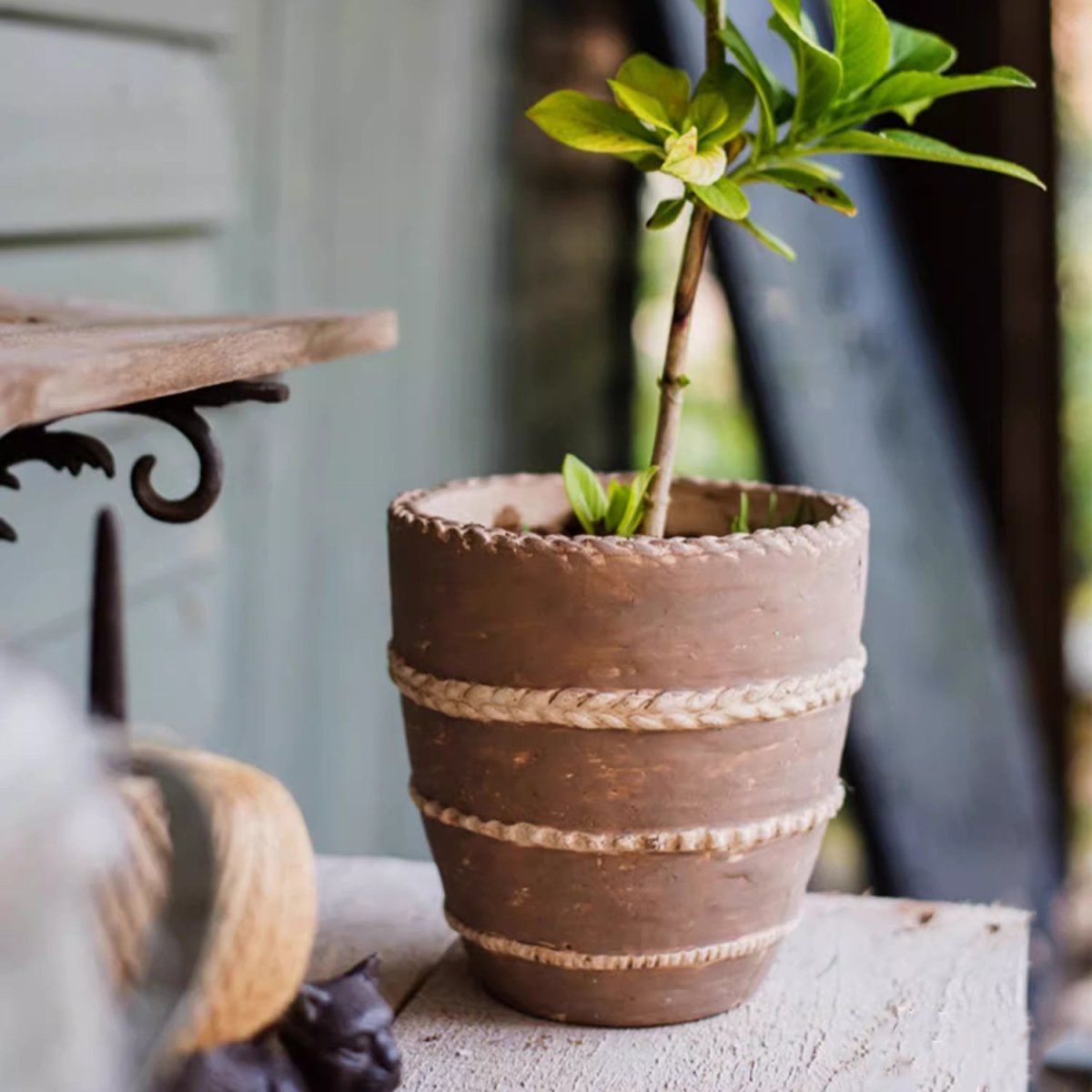 Handcrafted Textured Terracotta Plante