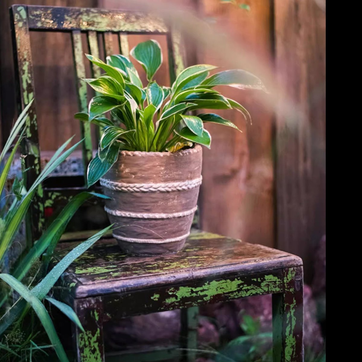 Handcrafted Textured Terracotta Plante