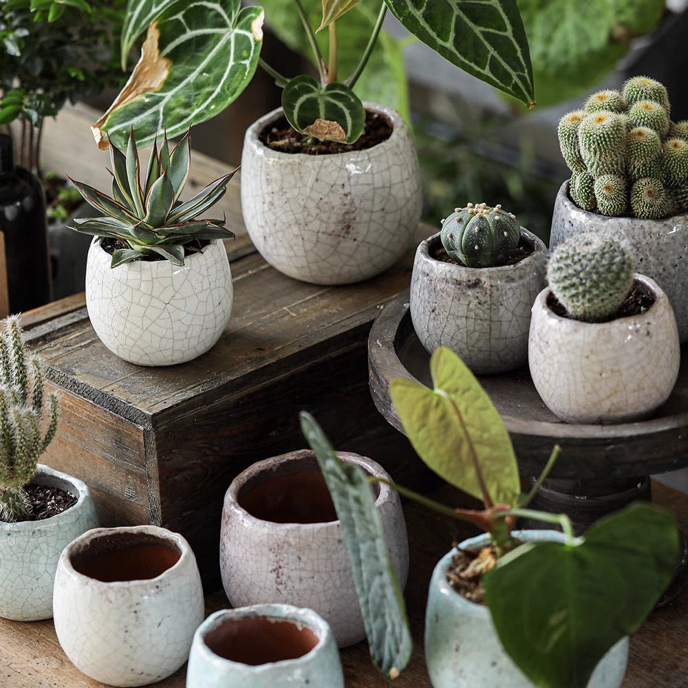 Artisan Ceramic Planter Set
