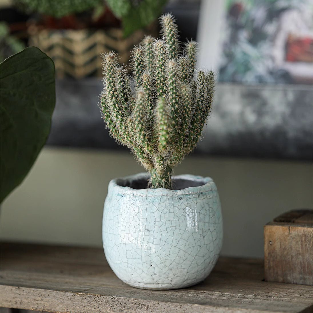 Artisan Ceramic Planter Set