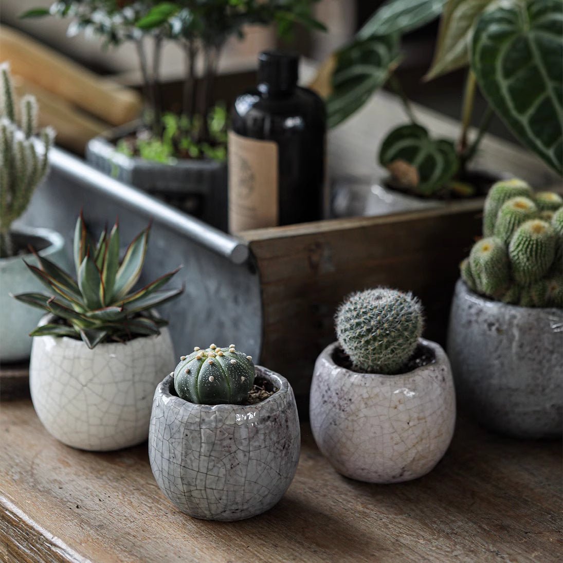 Artisan Ceramic Planter Set