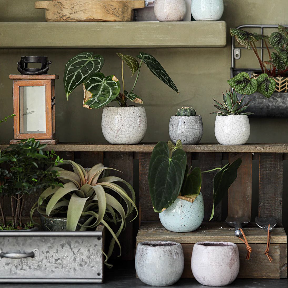 Artisan Ceramic Planter Set
