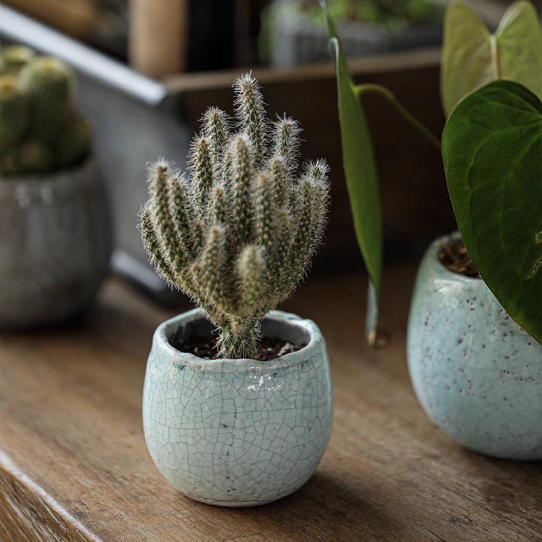 Artisan Ceramic Planter Set