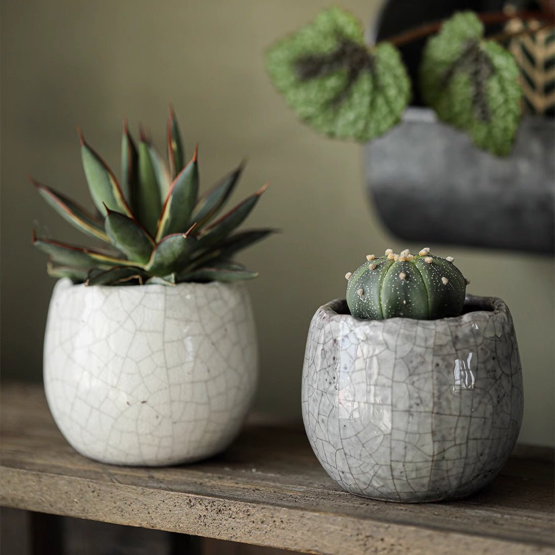 Artisan Ceramic Planter Set